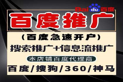 某企业通过百度SEM实现ROI最大化的案例